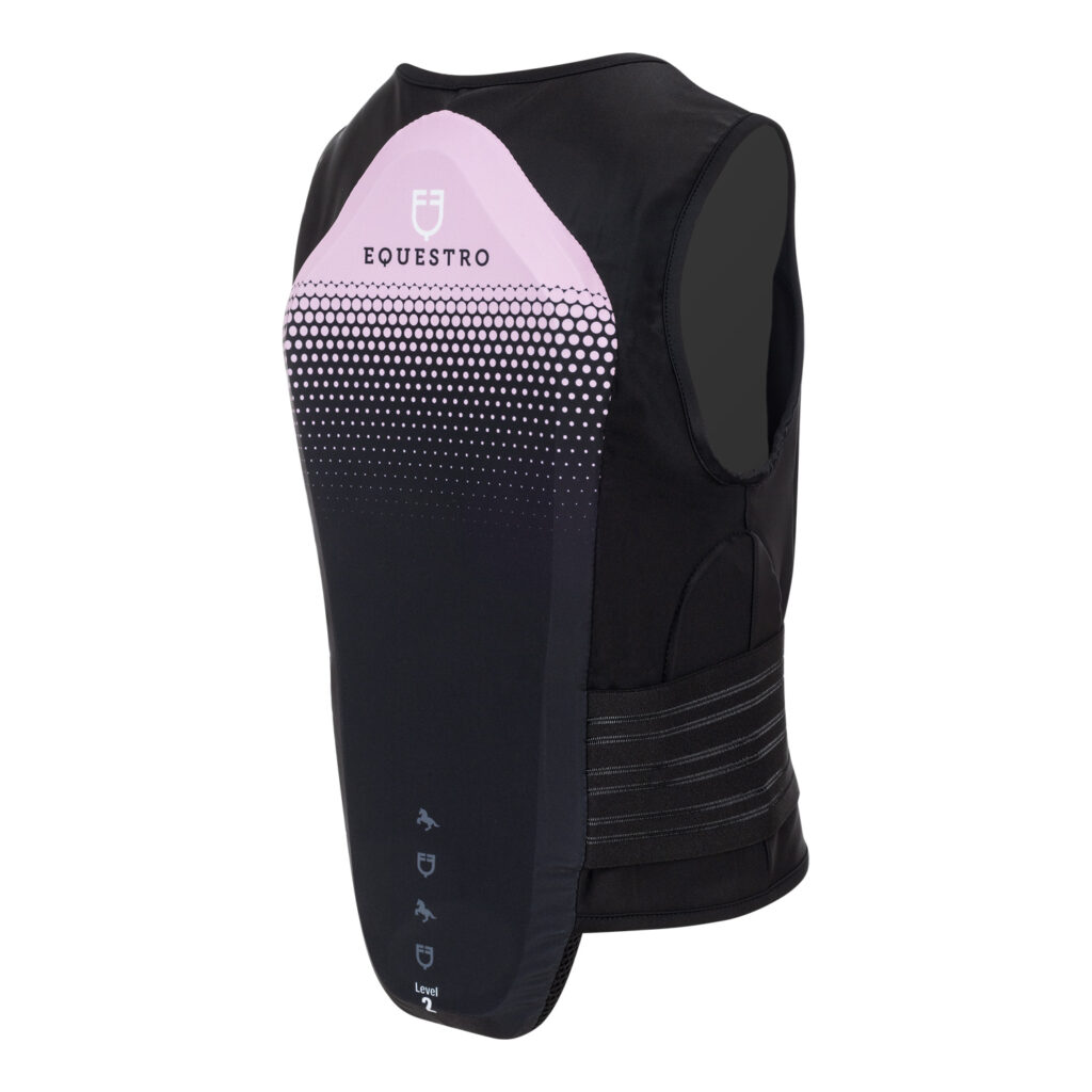 OTROŠKI ŠČITNIK ZA HRBET 2. STOPNJE (ŽELVA)