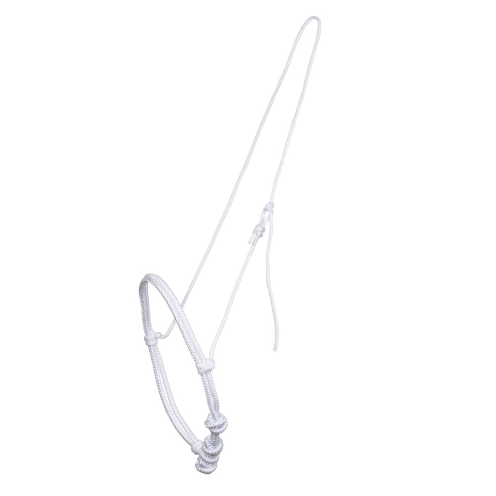 BELA OGLAVKA IZ VRVI