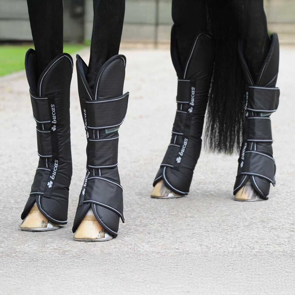 ŠKORNJI BUCAS FREEDOM NAVY