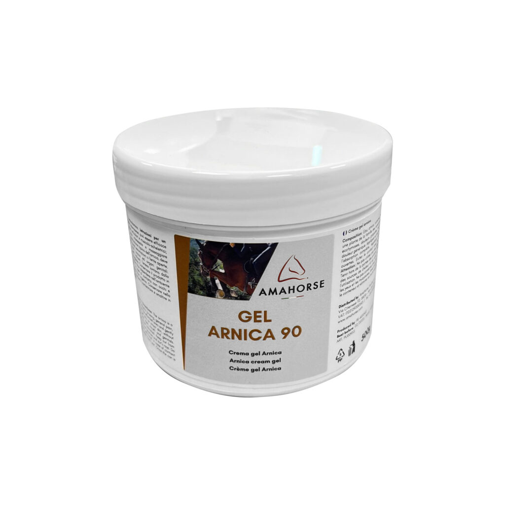 GEL ARNIKE 90 (500G)