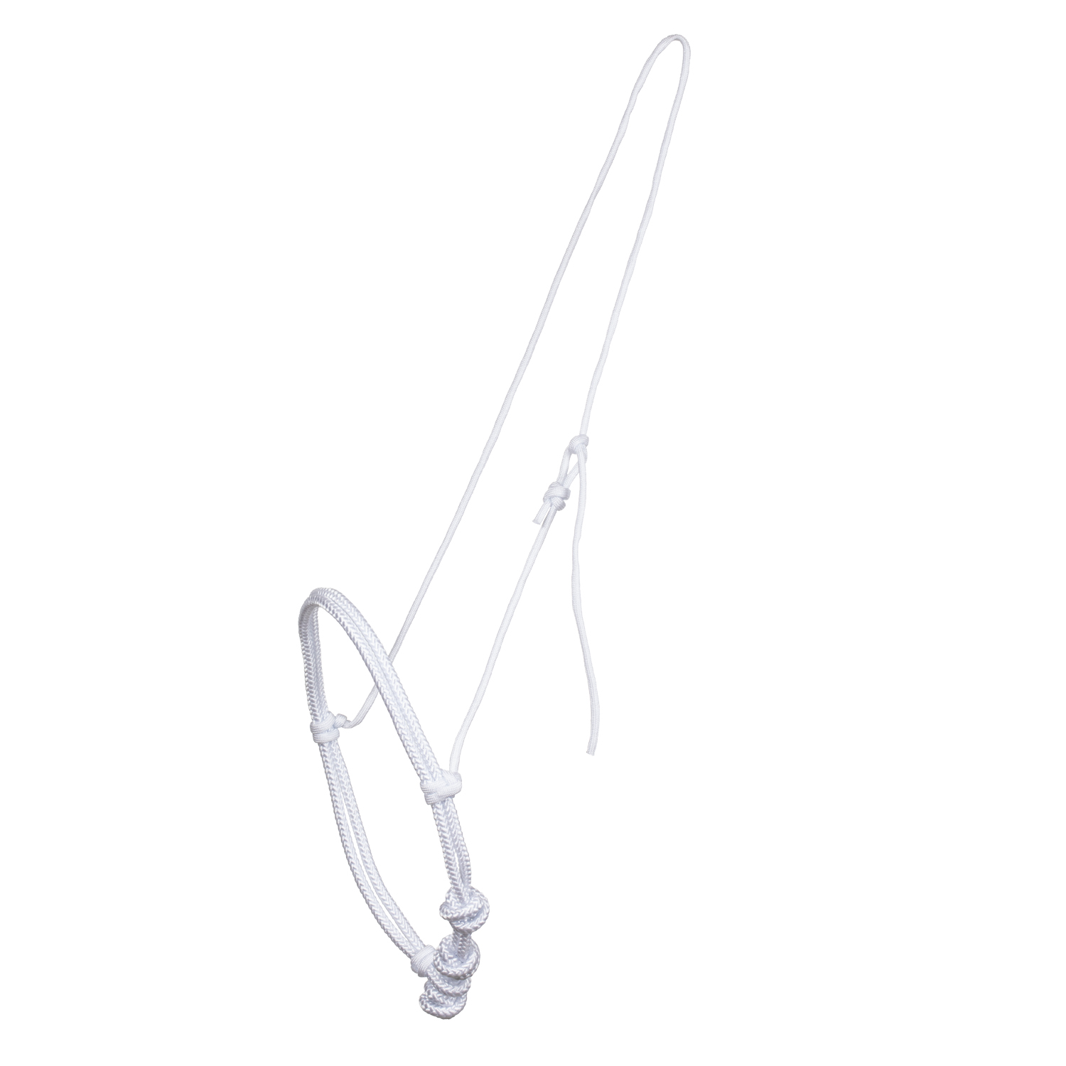 BELA OGLAVKA IZ VRVI - slika 3