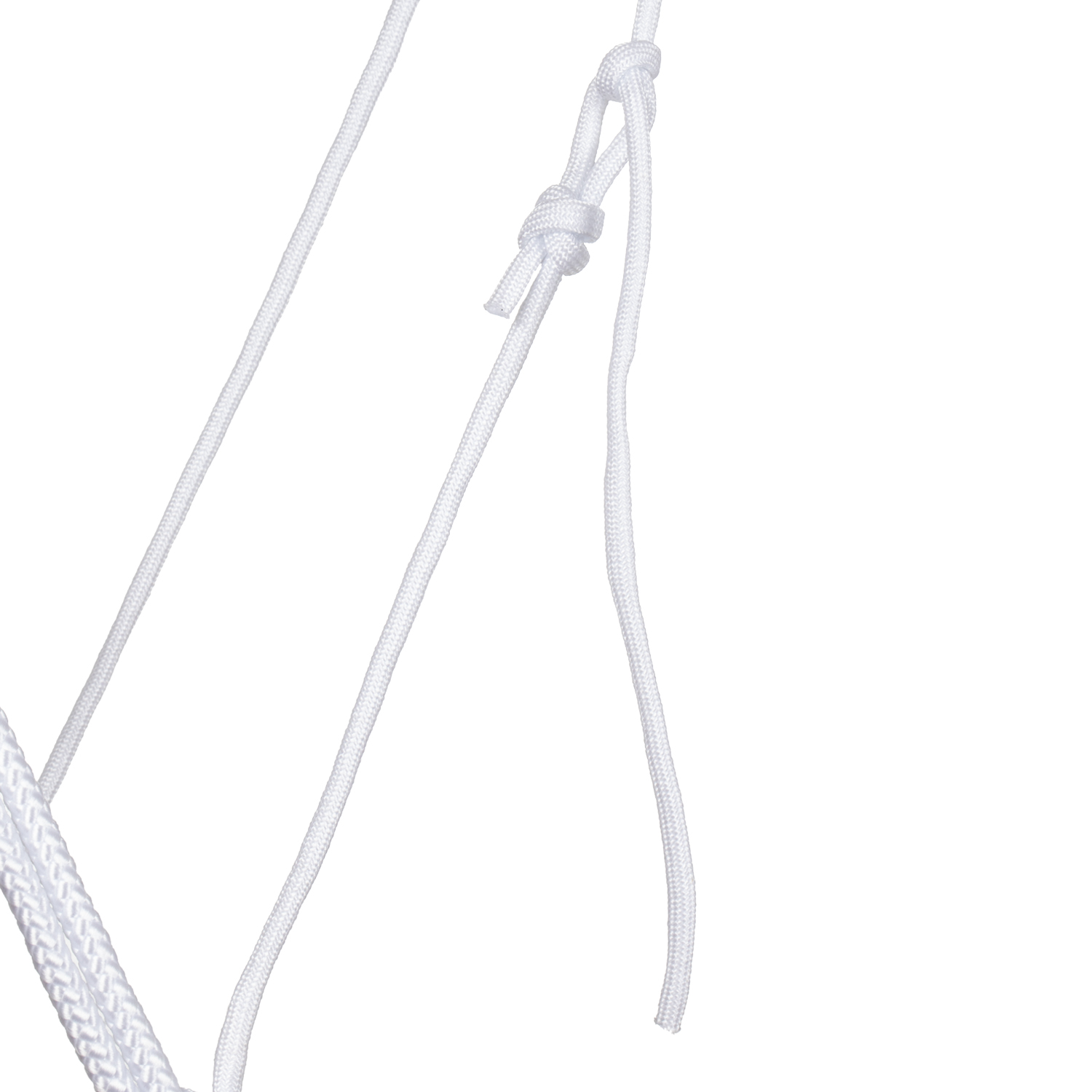 BELA OGLAVKA IZ VRVI - slika 4