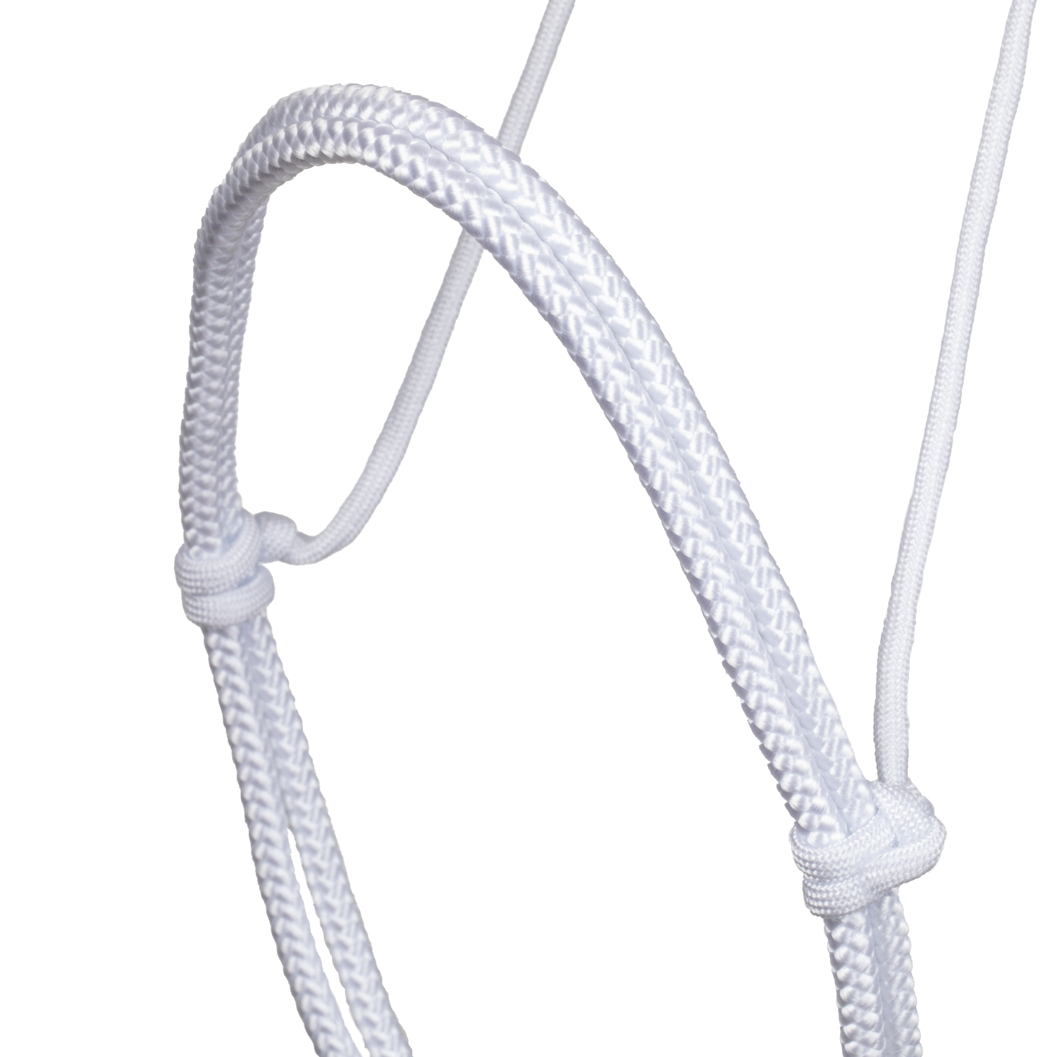 BELA OGLAVKA IZ VRVI - slika 5