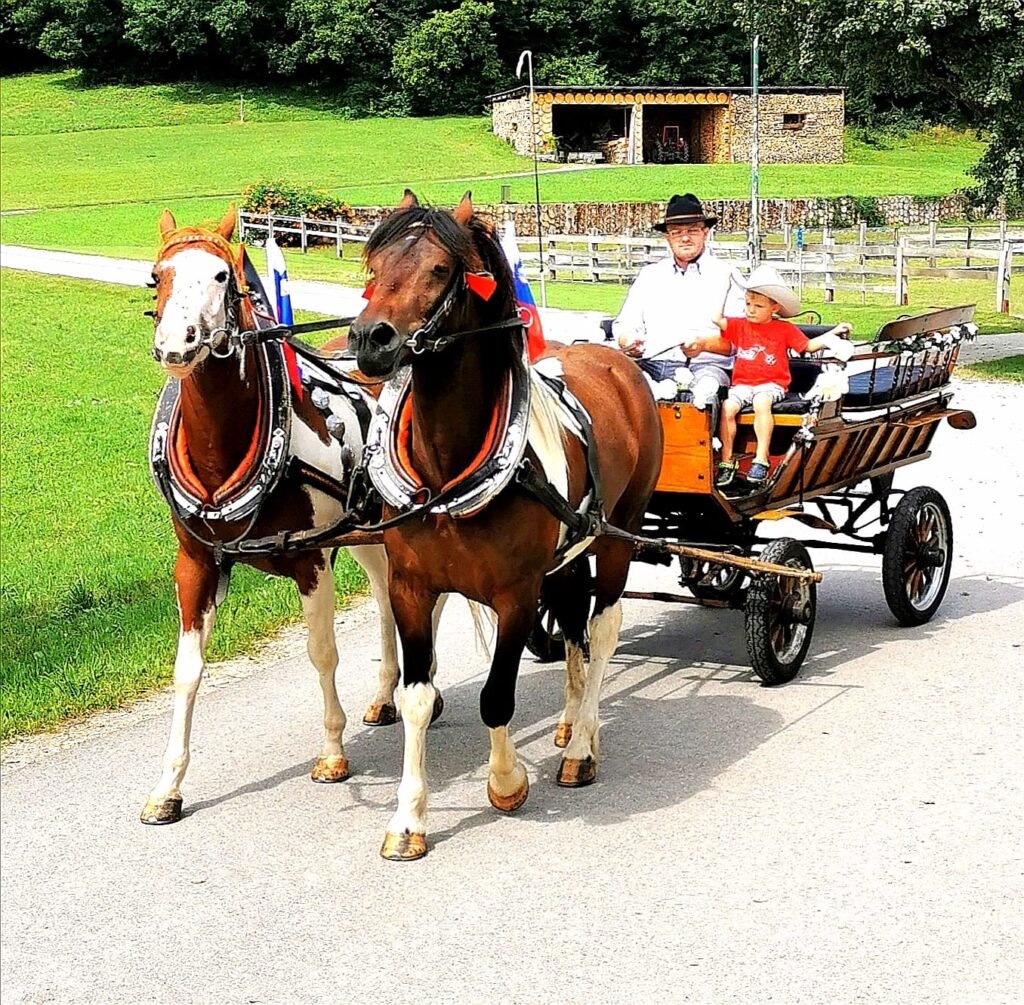 VOŽNJA S KOČIJO