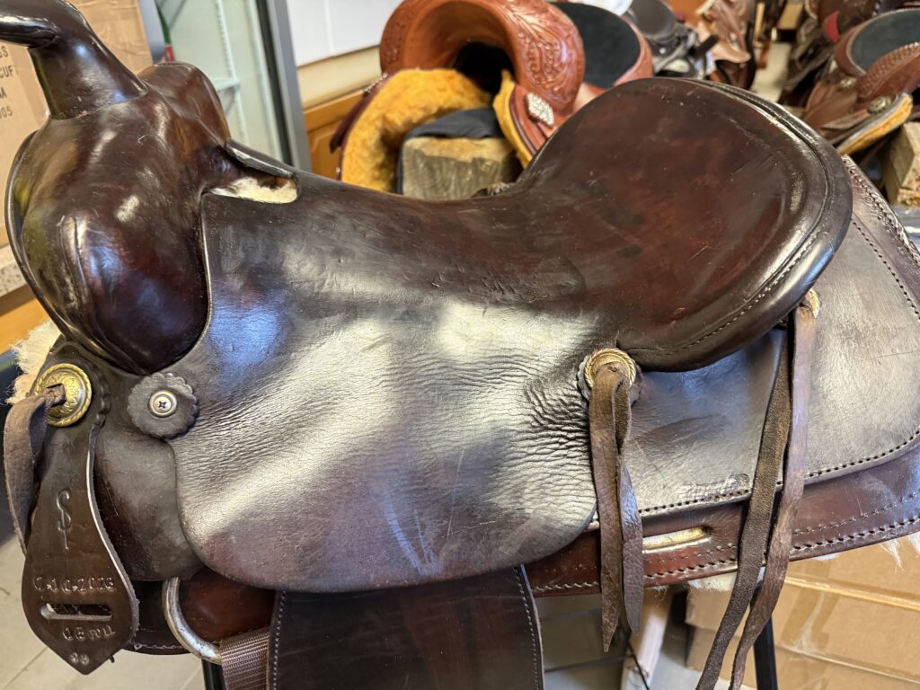 LONGHORN(2)