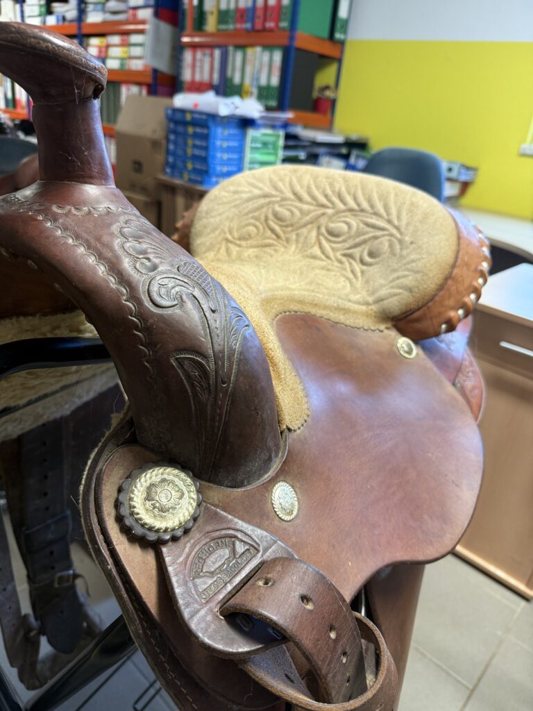 TEXAS RED HORNS