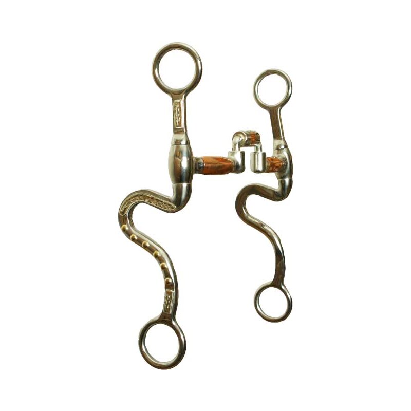 Bit with Avila Mouthpiece and S-Shanks