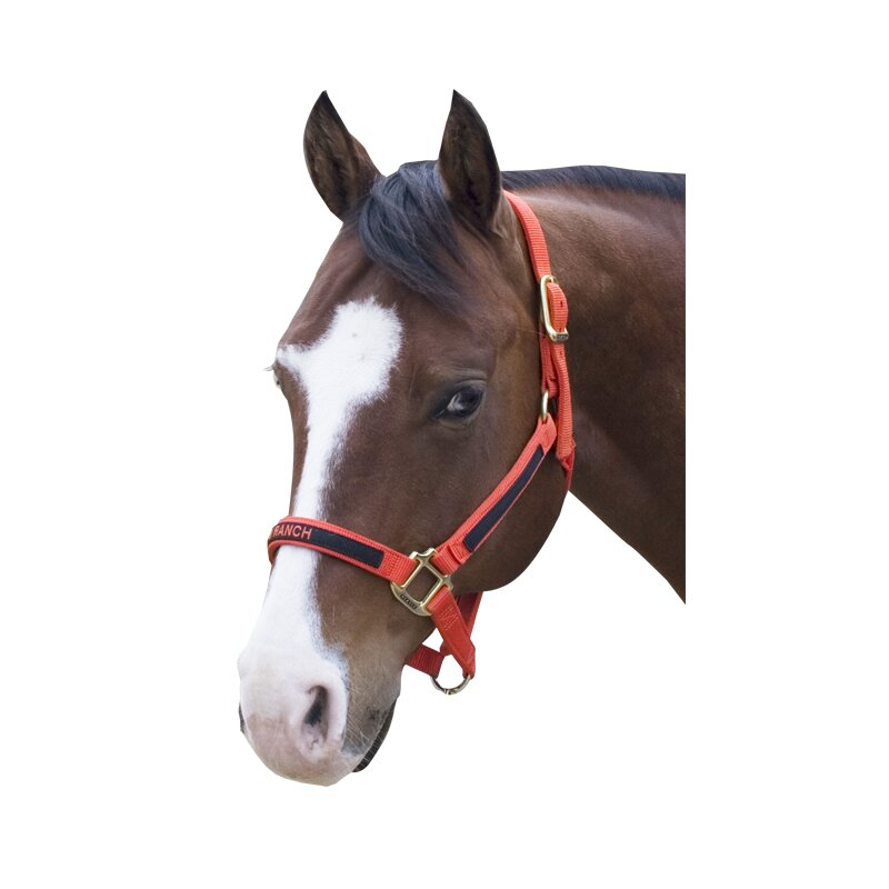 Vezena oglavka po meri v različnih barvah. Minimalna količina: 5. - slika 4