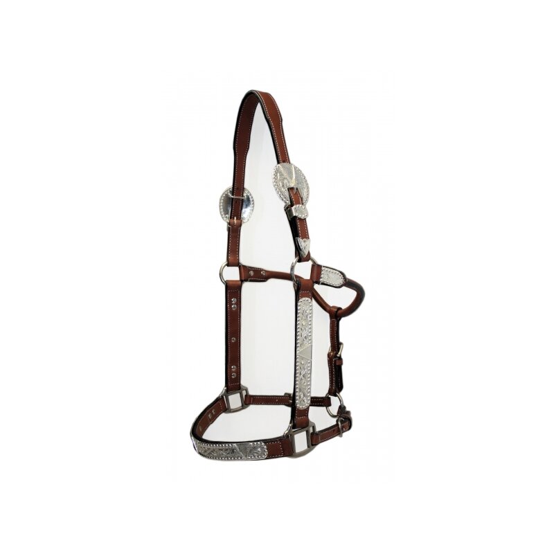 razstavna oglavka Show Halter
