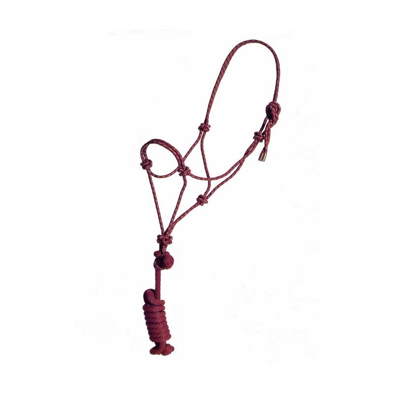 Vozlasta oglavka s povodcem znamke Mustang