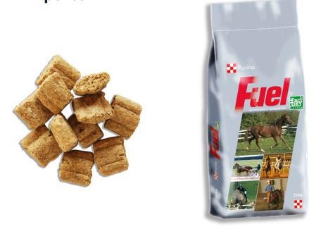 HORSE RIDER PURINA 25kg - slika 4